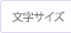 文字サイズ