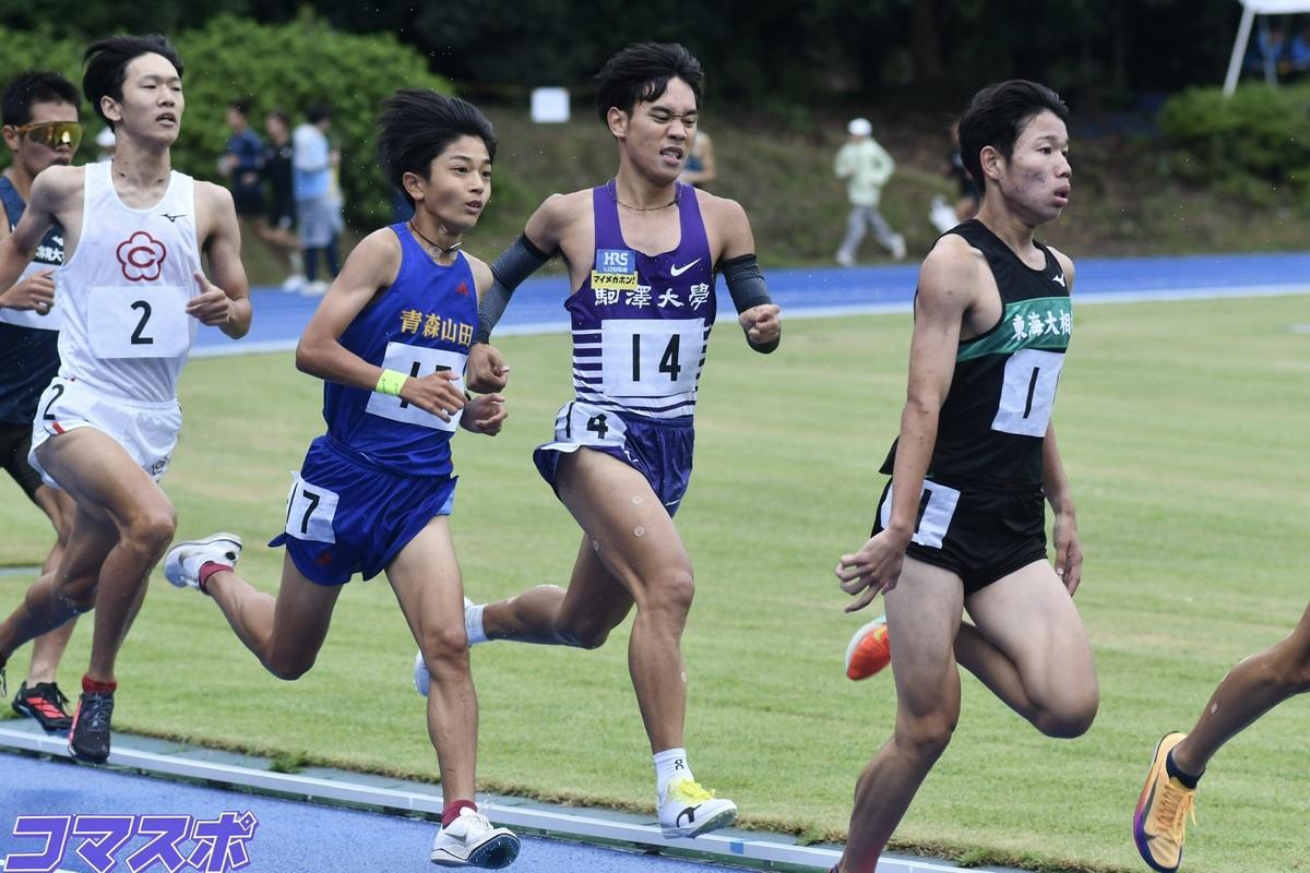 negayama2 (1).jpeg