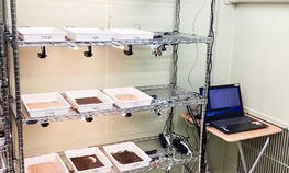 グローバル・メディア・スタディーズ学部の小林透教授の共同研究で廃棄物を活用した昆虫生産方法の特許を出願