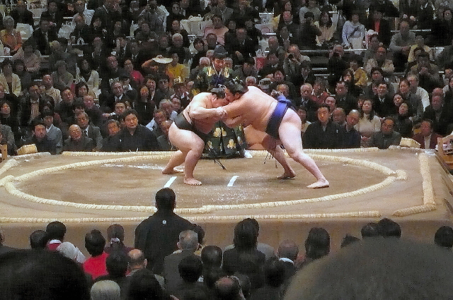 img0088.jpg