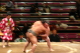 img0029.jpg