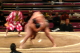 img0030.jpg